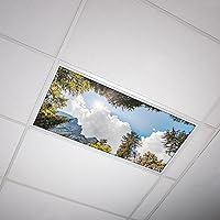 Fluorescent Light Decorative Covers for Classroom Ceiling Lights - 2x4 (22.38in X 46.5in) - Improves Focus, Eliminates Headaches, Provides Relief from Harsh Florescent Lights - Tree 009