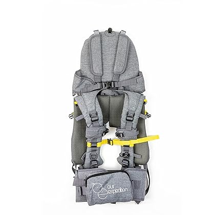 OE Shoulder Hiking Carrier for Child and Toddler with Sunshade and Detachable Backpack by Our Expedition