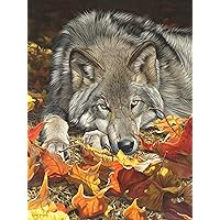 Ceaco - Wolf's Contemplation - 500 Piece Jigsaw Puzzle