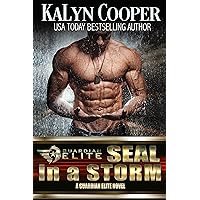 SEAL in a Storm (Silver SEALs Book 5) SEAL in a Storm (Silver SEALs Book 5) Kindle Paperback