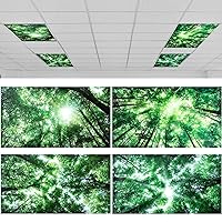 Pack of 4 Fluorescent Light Covers for Ceiling Lights, 4 x 2 ft, Magnetic Light Covers Classroom Light Filters Drop Fluorescent Light Shade Panel for Office Home School (Forest)