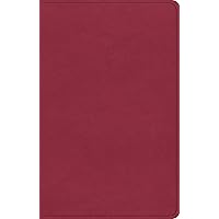 ESV Premium Gift Bible (TruTone, Berry) ESV Premium Gift Bible (TruTone, Berry) Paperback