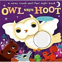 Noisy Touch and Feel: Owl Says Hoot Noisy Touch and Feel: Owl Says Hoot Board book