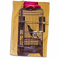 3dRose Danita Delimont - Bird - Songbird in cage, Hanoi, Vietnam - Towels (twl-226098-1)