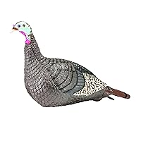 Hunters Specialties HS Strut Lite Hen Turkey Foldable Hollow Body Realistic Decoy