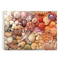 Galison Vibrant Seashells – Christine Chitnis 1000 Piece Puzzle Featuring Chromatic Seashell Arrangement On Sand