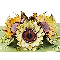 Pop Up Greeting Card Sunflower Flower- 3D Cards For Birthday, Anniversary, Mothers Day, Thank You Cards, Card for Mom, Congratulation Card, Love Card, All Occasion