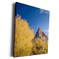 3dRose Autumn cottonwoods, Watchman, Zion NP, Utah - US45... - Museum Grade Canvas Wrap (cw_94700_1)