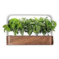 SmallGarden with Basil SeedPods, Indoor Grow Smart Garden Starter Kit for Fresh Home Grown Herbs, Plants and Flowers - Grow up to 10 Different Plants at Once