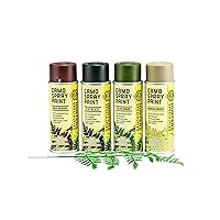 Hunters Specialties Camo Spray Paint Kit with Leaf Stencil - Non-Reflective Finish Water Resistant Fast Drying Paint for Treestands, Decoys, Blinds & Other Hunting Equipment, 4 Colors - 12 Oz Spray Can