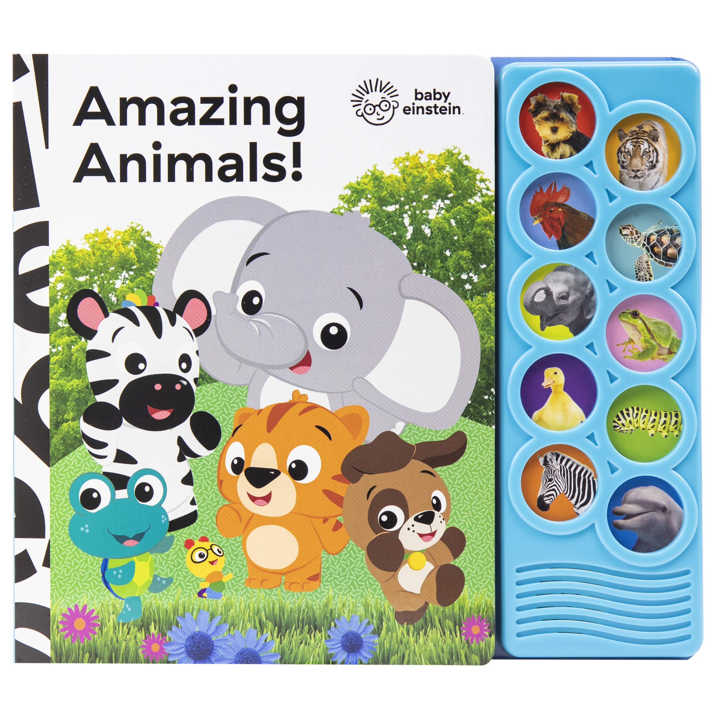 Baby Einstein - Amazing Animals 10-Button Sound Book - PI Kids (Play-A-Sound)