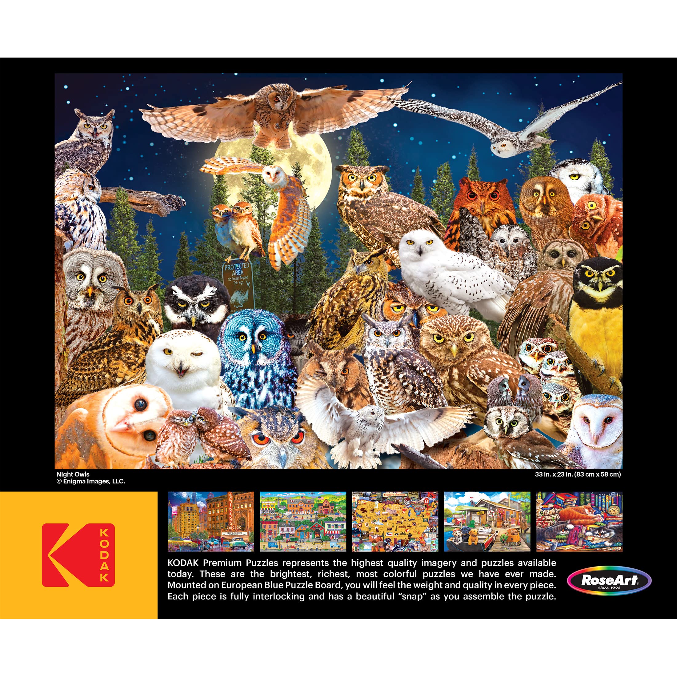 Cra-Z-Art - RoseArt - Kodak Premium - Night Owls - 1500 Piece Jigsaw Puzzle