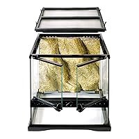 Glass Terrarium Kit, for Reptiles and Amphibians, Mini Wide, 12 x 12 x 12 Inches, PT2600A1