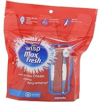 Wisp Mini-Brush with Freshening Bead, Peppermint, 16-Count