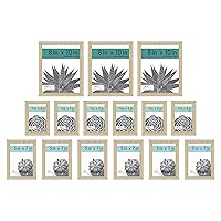 Gallery Essential Picture Frames, Photo Gallery Wall Frame Set with 4 x 6 Inch, 5 x 7 Inch, and 8 x 10 Inch Frames, Natural Woodgrain, 15 Piece