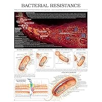 Bacterial resistance e chart: Full illustrated