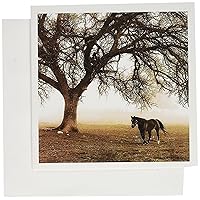 Western Sepia Toned Horse on a Ranch with an Oak Tree - Greeting Cards, 6 x 6 inches, set of 6 (gc_202972_1)