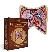 Human Thorax Anatomy Puzzle - Adult Jigsaw Puzzles Unique Gifts for Kids, Nurses, Doctors, Medical Students, Educational Science - 411 Piece Teen Floor Puzzle - Genius Games Dr. Livingston Body Model