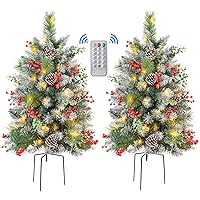 Set of 2 24.5 Inch Lighted Outdoor Christmas Tree with Remote, Multi-Color Lights, Battery Operated Pre-lit Pathway Urn Filler, Christmas Porch Decorations for Home, Porch & Yard