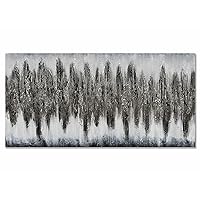 Eonzeun Hand Painted Silver Abstract Paintings Canvas Wall Art 24x48 inch,Large Modern Textured Artwork Wall Painting framed for Home Decorations