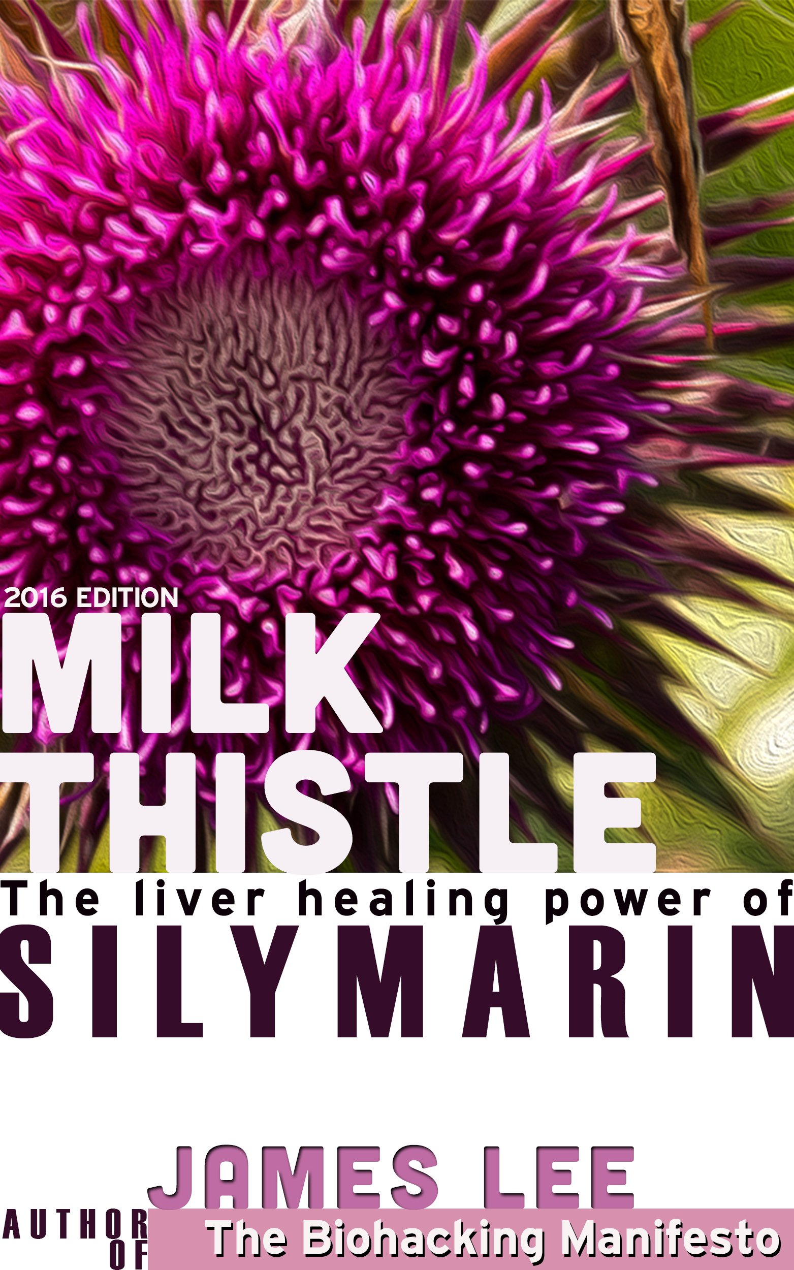 Milk Thistle - The liver-healing power of silymarin
