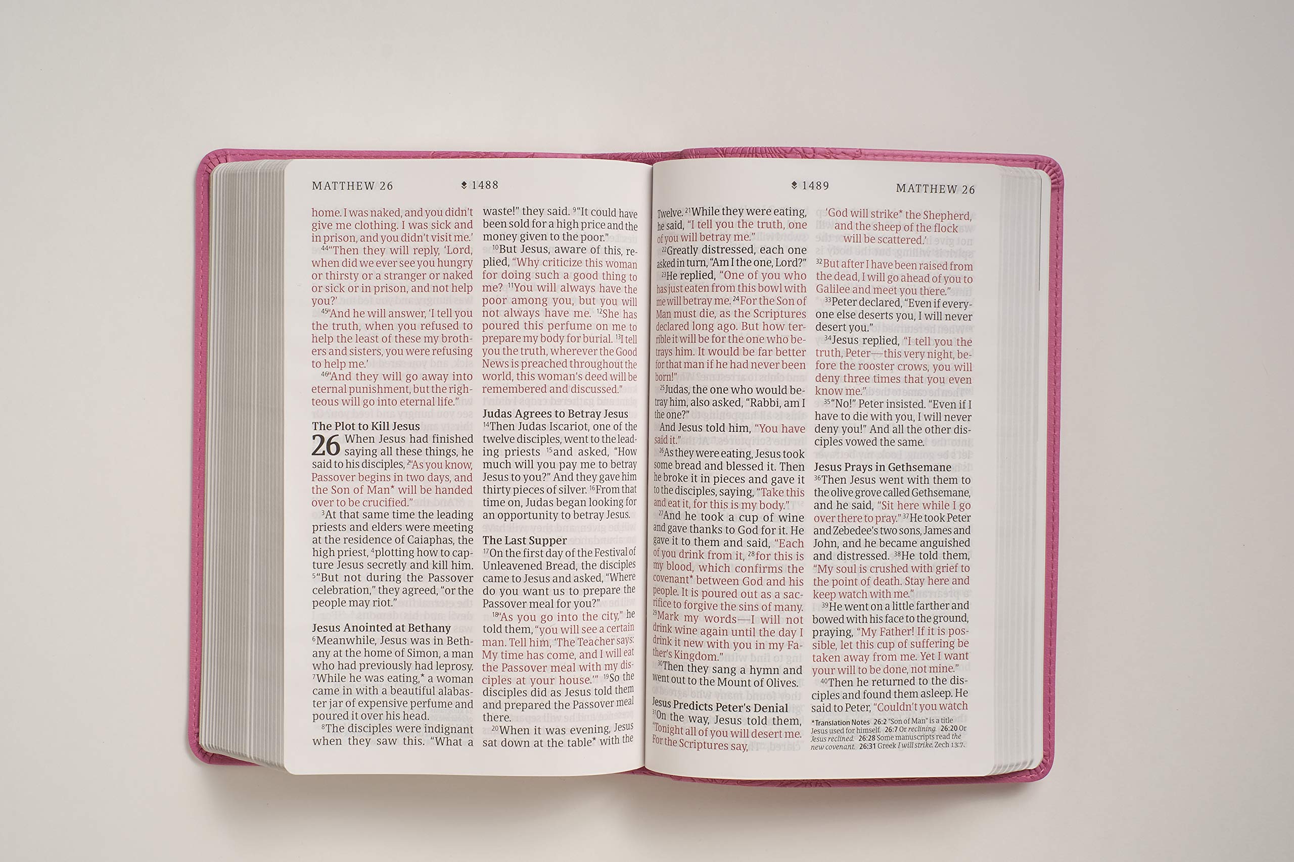 NLT Personal Size Giant Print Holy Bible (Red Letter, LeatherLike, Peony Pink): Includes Free Access to the Filament Bible App Delivering Study Notes, Devotionals, Worship Music, and Video