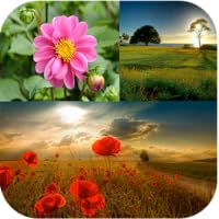 Cute Nature Wallpapers