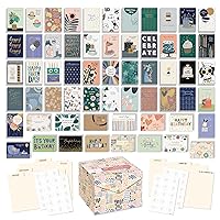 American Greetings All Occasion Deluxe Card Assortment with Envelopes and Storage Box(60-Count)