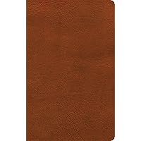 NASB Single-Column Personal Size Bible, Burnt Sienna LeatherTouch, Black Letter, Presentation Page, Full-Color Maps, Easy-to-Read Bible Serif Type NASB Single-Column Personal Size Bible, Burnt Sienna LeatherTouch, Black Letter, Presentation Page, Full-Color Maps, Easy-to-Read Bible Serif Type Imitation Leather