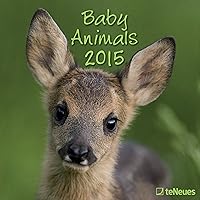 2015 Baby Animals Wall Calendar