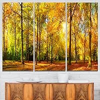 Gorgeous Autumn of Sunny Forest 36x28, 3 Panels