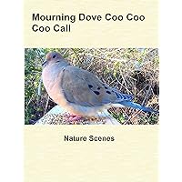 Mourning Dove Coo Coo Coo Call
