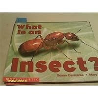 What Is An Insect? (Emergent Readers) What Is An Insect? (Emergent Readers) Paperback