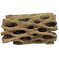 3 in Plus Thick XL Teddy Bear/Chain Fruit/Buckhorn/Staghorn Cholla Wood Hollow Tube Wood Cactus Skeleton Tubes 3” Plus Thick/Diameter (6 in x 3 in Plus Diameter)