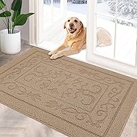 FONEYI Indoor Door Mat, Front Back Door Mat 24