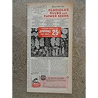 Old Dutch Cleanser, Vintage 40's print ad. color Illustration (gladiolus bulbs)Original vintage 1947 Woman's Day Magazine Print Art.