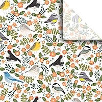 Jillson Roberts 24 Sheet-Count Premium Printed Tissue Paper Available in 8 Different Floral Designs, Birdies