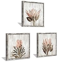 Pink Floral Wall Art Picture: Blossom Protea Flower Artwork Print on Rustic Wood Framed for Home Decor (12” x 12” x 3 Panels)