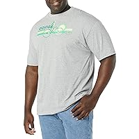 Disney Big & Tall Muppets Green Stripes Men's Tops Short Sleeve Tee Shirt