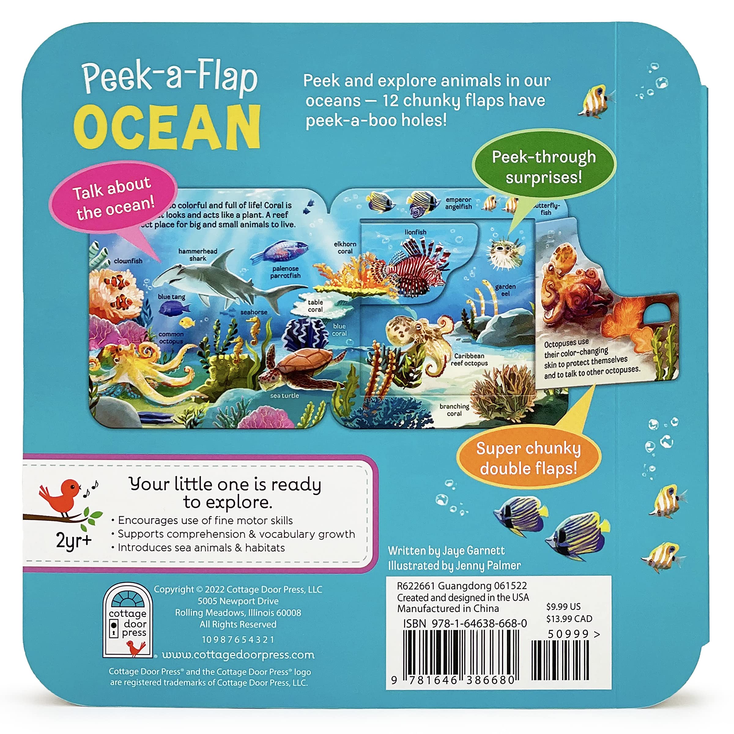 Peek-a-Flap Ocean Children's Lift-a-Flap Board Book for Children Learning about the Sea and Water Animals, Ages 2-5