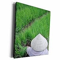 3dRose Farmer with conical hat, green onions, Da Lat,... - Museum Grade Canvas Wrap (cw_133198_1)