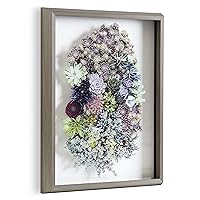 Kate and Laurel Blake Colony Succulent Framed Printed Photograph on Glass by F2 Images, 16x20 Gray, Vibrant Botanical Wall Décor