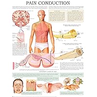 Pain conduction e-chart: Quick reference guide