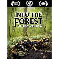 Into the Forest: Reptiles & Amphibians
