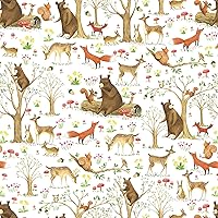 Jillson Roberts 6 Roll-Count Baby Gift Wrap Available in 5 Different Designs, Fairytale Forest