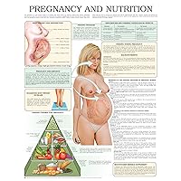 Pregnancy and nutrition e chart: Full illustrated