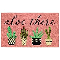 DII Natural Coir Doormat, Decorative Hello Mat, 17x29, Aloe There