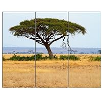 PT12900-36-28-3P Acadia Tree and Cheetah in Africa-Oversized African Landscape Canvas Art, 36x28-3 Panels
