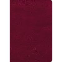 NASB Super Giant Print Reference Bible, Burgundy LeatherTouch, Indexed NASB Super Giant Print Reference Bible, Burgundy LeatherTouch, Indexed Imitation Leather