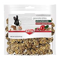 Kaytee Granola Bites with Superfoods Cranberry, Apple and Flax for Rats, Mice, Hamsters, Gerbils, Rabbits, Guinea Pigs and Chinchillas, 4.5 oz